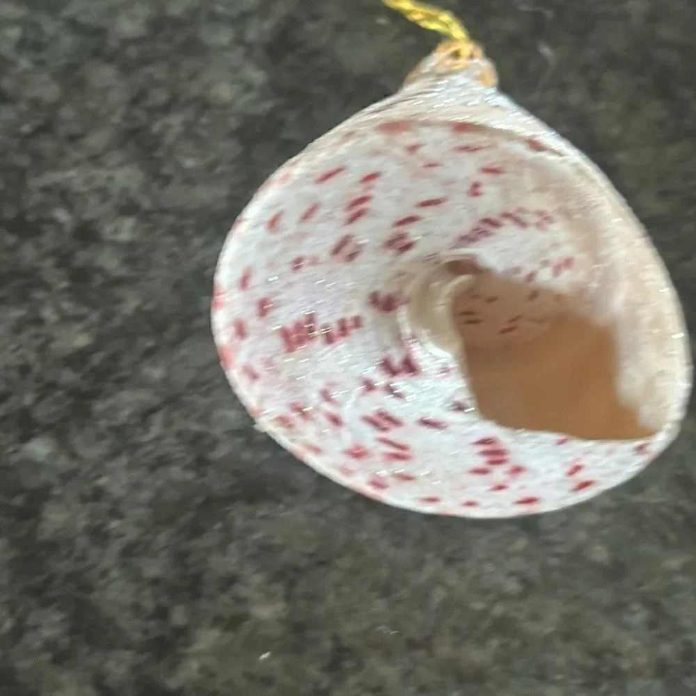 seashell sparkly ornaments  set of 2